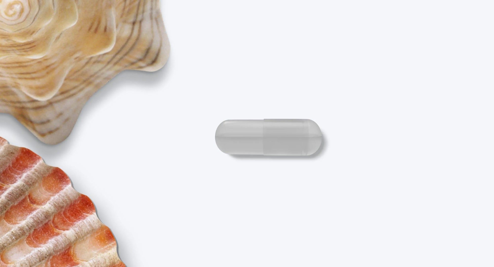 GLUCOSAMINE AND CHONDROITIN WITH MSM - MyPicPax