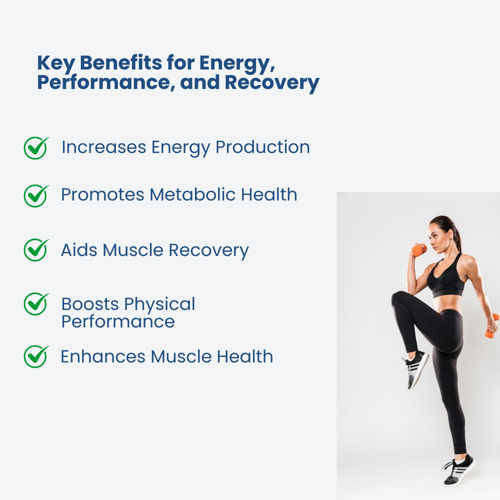 Buy L-Carnitine Supplements in UAE – Energy & Fat Metabolism – MyPicPax