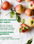 Apple Cider