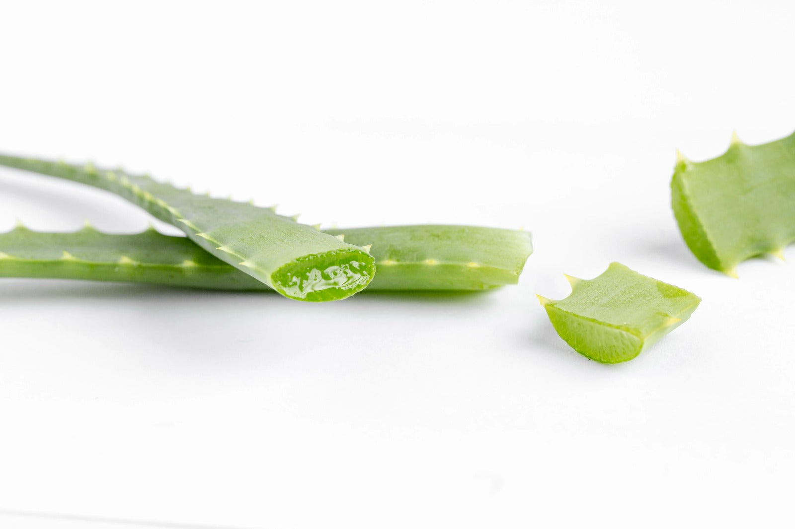Aloe Vera: The Versatile Plant for Health and Wellness