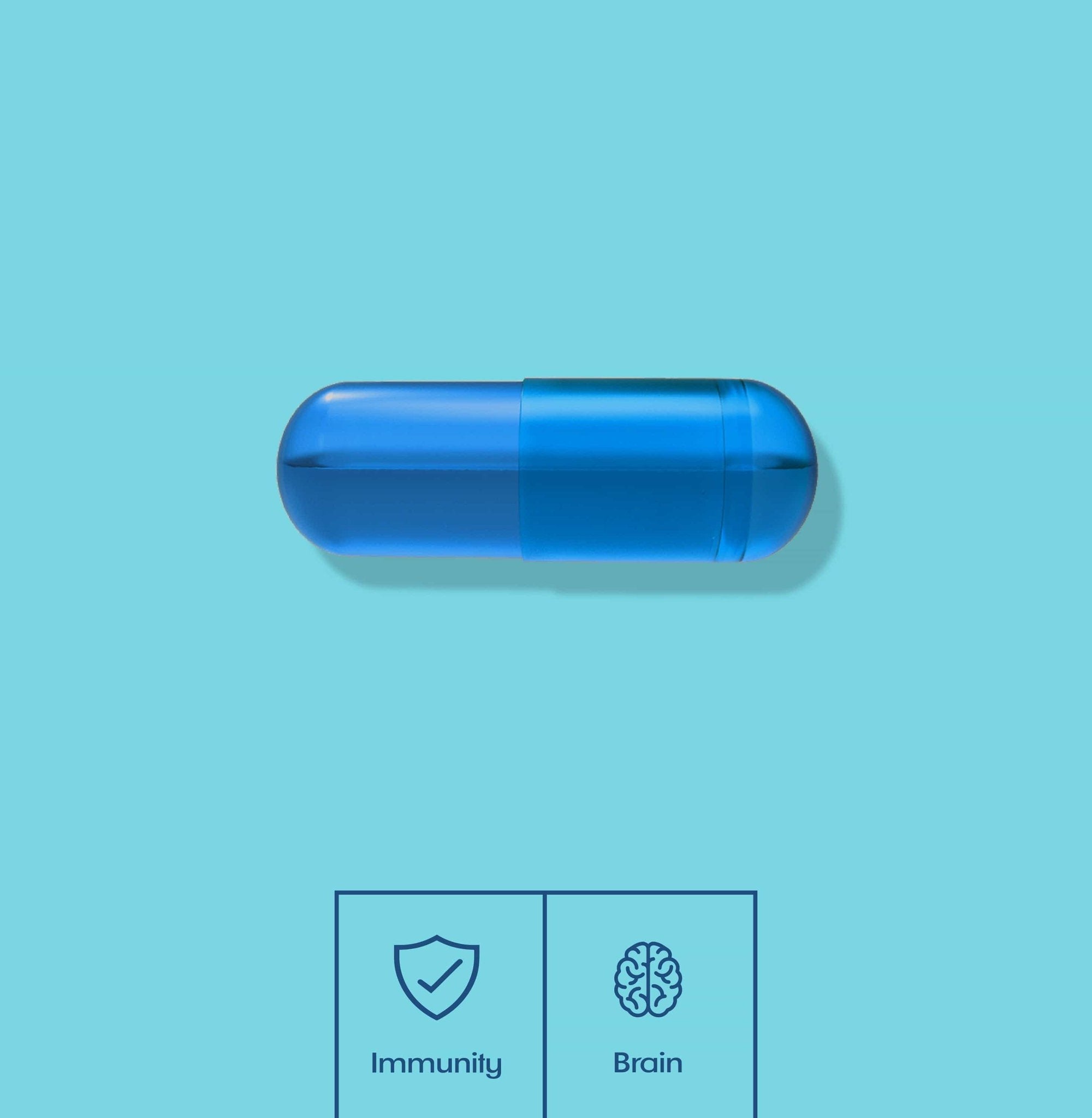 L - Carnitine - MyPicPax